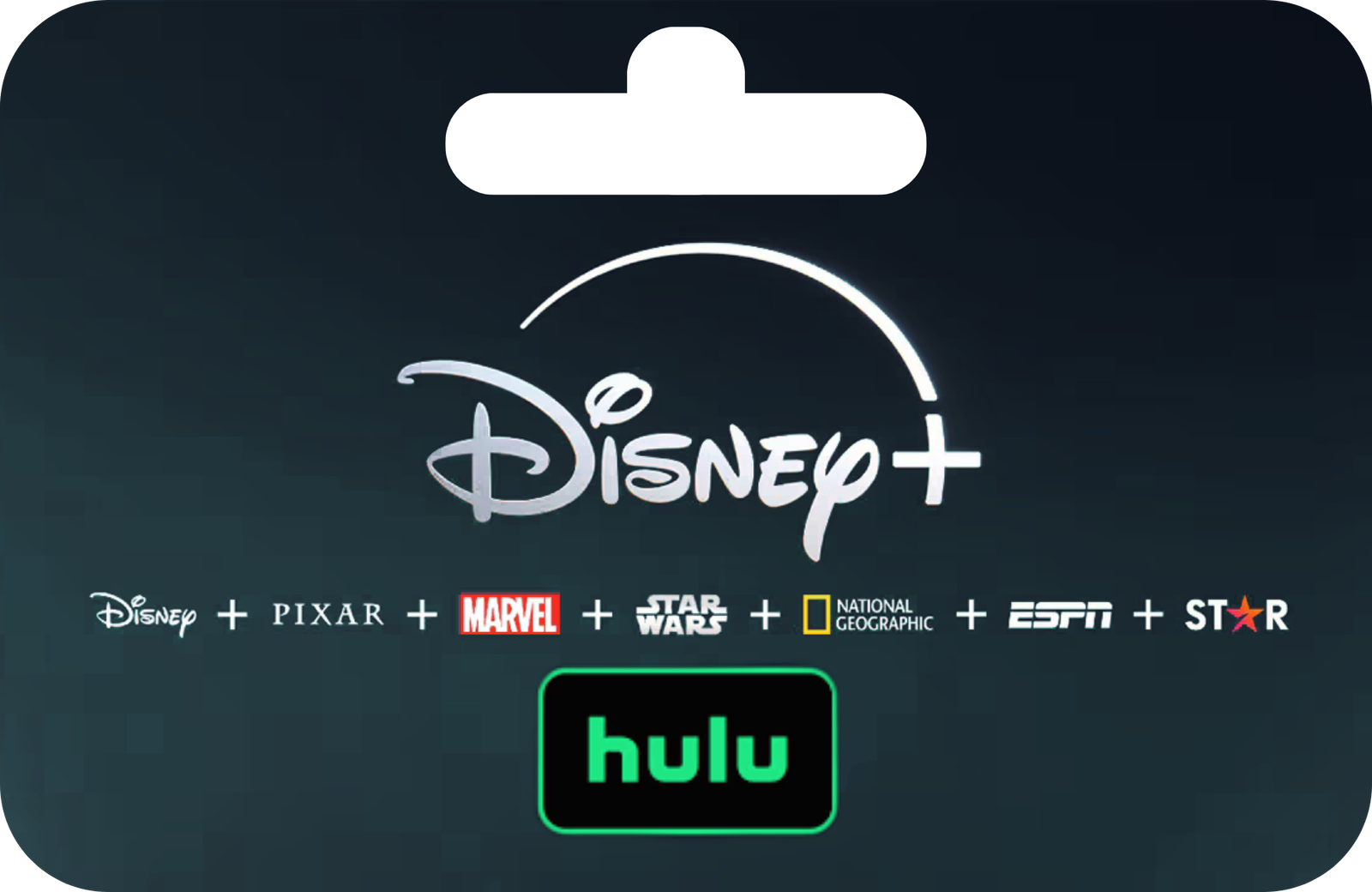 DISNEY PREMIUM PERFIL